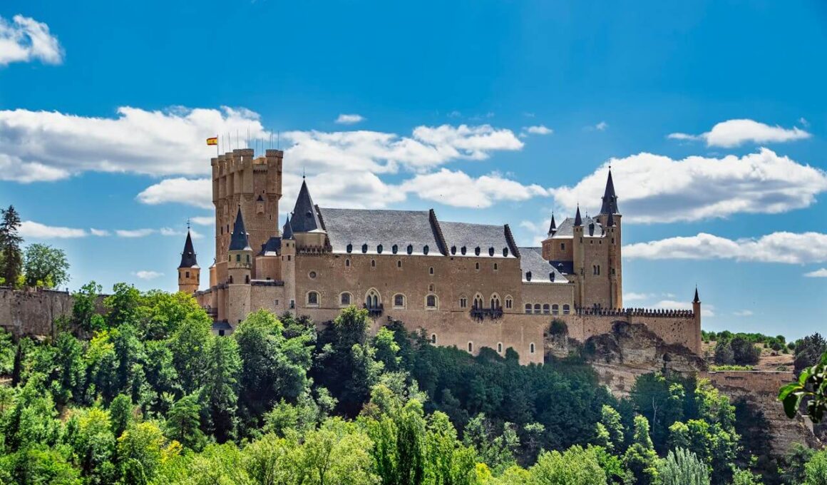 castillo segovia